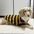 画像22: ダックスフンド 服 ラガー半袖Ｔシャツ 小型犬 中型犬 S M L XL 春夏秋冬 ダックス おしゃれ 犬 洋服 doggystar ドッギースター 即日発送致します (22)