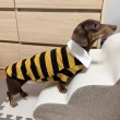 画像20: ダックスフンド 服 ラガー半袖Ｔシャツ 小型犬 中型犬 S M L XL 春夏秋冬 ダックス おしゃれ 犬 洋服 doggystar ドッギースター 即日発送致します (20)