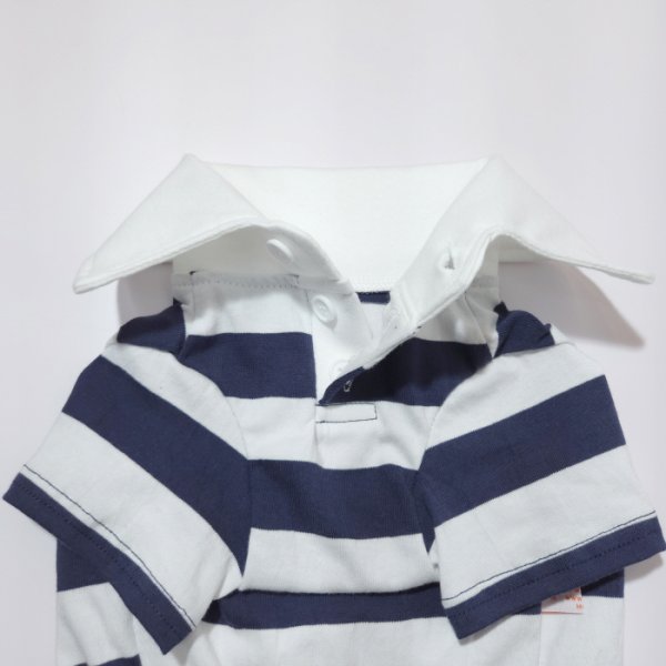 画像9: ダックスフンド 服 ラガー半袖Ｔシャツ 小型犬 中型犬 S M L XL 春夏秋冬 ダックス おしゃれ 犬 洋服 doggystar ドッギースター 即日発送致します (9)