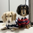 画像30: ダックスフンド 服 ラガー半袖Ｔシャツ 小型犬 中型犬 S M L XL 春夏秋冬 ダックス おしゃれ 犬 洋服 doggystar ドッギースター 即日発送致します (30)