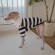 画像12: イタグレ服 S M L XL 2XL 3XL ラガー 半袖 Tシャツ  小型犬 中型犬 大型犬 春 秋 冬 犬服 doggystar ドッギースター 即日出荷出来ます (12)