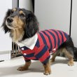 画像14: ダックスフンド 服 ラガー半袖Ｔシャツ 小型犬 中型犬 S M L XL 春夏秋冬 ダックス おしゃれ 犬 洋服 doggystar ドッギースター 即日発送致します (14)