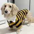 画像21: ダックスフンド 服 ラガー半袖Ｔシャツ 小型犬 中型犬 S M L XL 春夏秋冬 ダックス おしゃれ 犬 洋服 doggystar ドッギースター 即日発送致します (21)