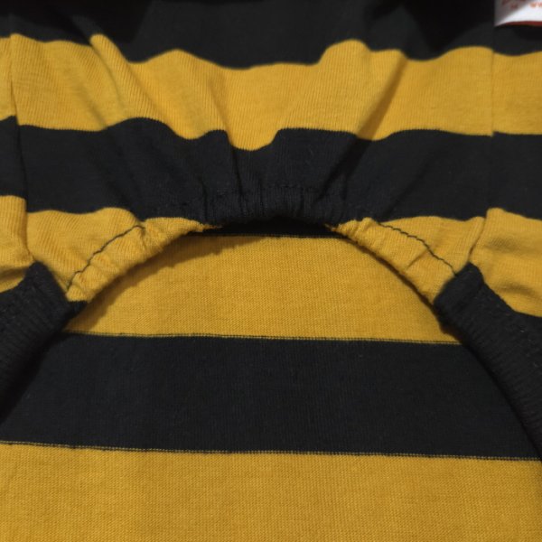 画像26: ダックスフンド 服 ラガー半袖Ｔシャツ 小型犬 中型犬 S M L XL 春夏秋冬 ダックス おしゃれ 犬 洋服 doggystar ドッギースター 即日発送致します (26)