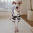 画像11: イタグレ服 S M L XL 2XL 3XL ラガー 半袖 Tシャツ  小型犬 中型犬 大型犬 春 秋 冬 犬服 doggystar ドッギースター 即日出荷出来ます (11)