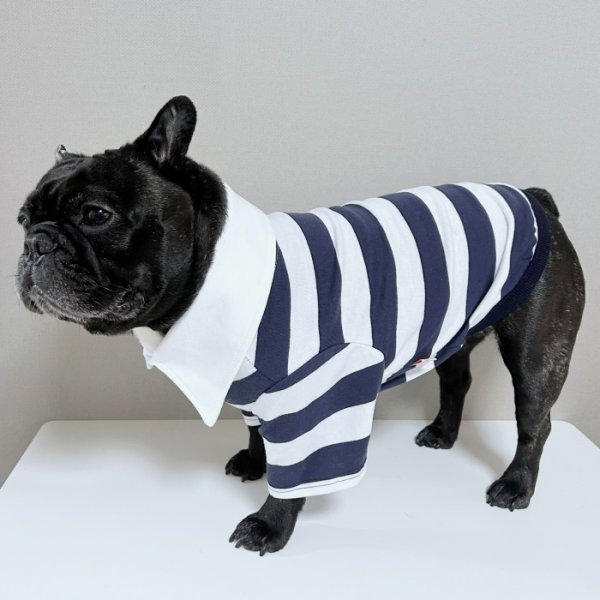 画像13: フレブル 服 フレンチブルドッグ ラガー半袖Tシャツ 春夏秋冬 L XL 2XL 3XL 4XL 5XL イングリッシュブルドッグ  パグ ペット服 犬服 フレブル  即日発送致します (13)