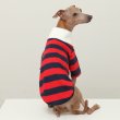 画像33: イタグレ服 S M L XL 2XL 3XL ラガー 半袖 Tシャツ  小型犬 中型犬 大型犬 春 秋 冬 犬服 doggystar ドッギースター 即日出荷出来ます (33)