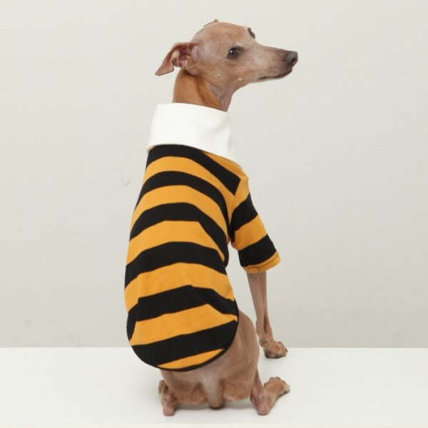 画像25: イタグレ服 S M L XL 2XL 3XL ラガー 半袖 Tシャツ  小型犬 中型犬 大型犬 春 秋 冬 犬服 doggystar ドッギースター 即日出荷出来ます (25)