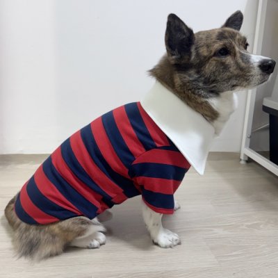 画像1: ウェルシュ コーギー 服 ラガー半袖 Tシャツ 2XL 3XL 4XL 5XL中型犬 大型犬 春夏秋冬 コーギー おしゃれ 犬服 doggystar ドッギースター 即日発送致します