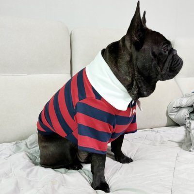 画像2: フレブル 服 フレンチブルドッグ ラガー半袖Tシャツ 春夏秋冬 L XL 2XL 3XL 4XL 5XL イングリッシュブルドッグ  パグ ペット服 犬服 フレブル  即日発送致します