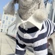 画像10: イタグレ服 S M L XL 2XL 3XL ラガー 半袖 Tシャツ  小型犬 中型犬 大型犬 春 秋 冬 犬服 doggystar ドッギースター 即日出荷出来ます (10)