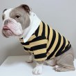 画像5: フレブル 服 フレンチブルドッグ ラガー半袖Tシャツ 春夏秋冬 L XL 2XL 3XL 4XL 5XL イングリッシュブルドッグ  パグ ペット服 犬服 フレブル  即日発送致します (5)