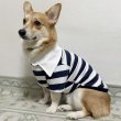 画像6: ウェルシュ コーギー 服 ラガー半袖 Tシャツ 2XL 3XL 4XL 5XL中型犬 大型犬 春夏秋冬 コーギー おしゃれ 犬服 doggystar ドッギースター 即日発送致します (6)