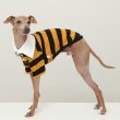 画像24: イタグレ服 S M L XL 2XL 3XL ラガー 半袖 Tシャツ  小型犬 中型犬 大型犬 春 秋 冬 犬服 doggystar ドッギースター 即日出荷出来ます (24)