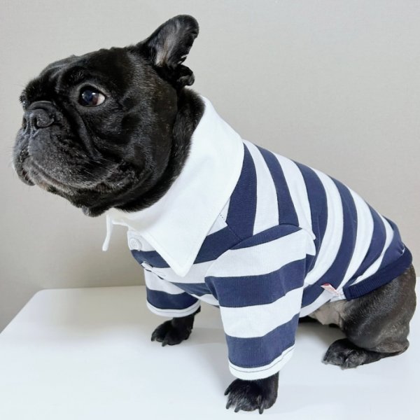画像14: フレブル 服 フレンチブルドッグ ラガー半袖Tシャツ 春夏秋冬 L XL 2XL 3XL 4XL 5XL イングリッシュブルドッグ  パグ ペット服 犬服 フレブル  即日発送致します (14)