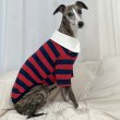 画像36: イタグレ服 S M L XL 2XL 3XL ラガー 半袖 Tシャツ  小型犬 中型犬 大型犬 春 秋 冬 犬服 doggystar ドッギースター 即日出荷出来ます (36)