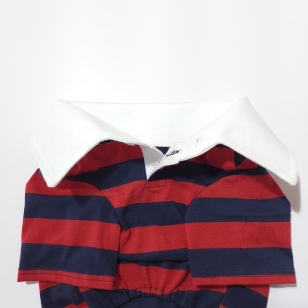 画像25: フレブル 服 フレンチブルドッグ ラガー半袖Tシャツ 春夏秋冬 L XL 2XL 3XL 4XL 5XL イングリッシュブルドッグ  パグ ペット服 犬服 フレブル  即日発送致します (25)