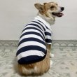 画像7: ウェルシュ コーギー 服 ラガー半袖 Tシャツ 2XL 3XL 4XL 5XL中型犬 大型犬 春夏秋冬 コーギー おしゃれ 犬服 doggystar ドッギースター 即日発送致します (7)