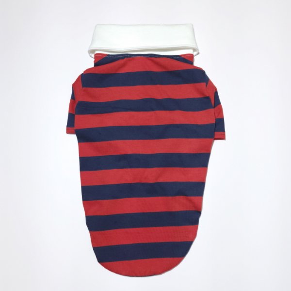 画像20: ウェルシュ コーギー 服 ラガー半袖 Tシャツ 2XL 3XL 4XL 5XL中型犬 大型犬 春夏秋冬 コーギー おしゃれ 犬服 doggystar ドッギースター 即日発送致します (20)