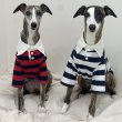 画像41: イタグレ服 S M L XL 2XL 3XL ラガー 半袖 Tシャツ  小型犬 中型犬 大型犬 春 秋 冬 犬服 doggystar ドッギースター 即日出荷出来ます (41)