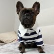 画像12: フレブル 服 フレンチブルドッグ ラガー半袖Tシャツ 春夏秋冬 L XL 2XL 3XL 4XL 5XL イングリッシュブルドッグ  パグ ペット服 犬服 フレブル  即日発送致します (12)