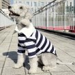 画像7: イタグレ服 S M L XL 2XL 3XL ラガー 半袖 Tシャツ  小型犬 中型犬 大型犬 春 秋 冬 犬服 doggystar ドッギースター 即日出荷出来ます (7)