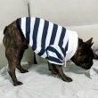 画像11: フレブル 服 フレンチブルドッグ ラガー半袖Tシャツ 春夏秋冬 L XL 2XL 3XL 4XL 5XL イングリッシュブルドッグ  パグ ペット服 犬服 フレブル  即日発送致します (11)