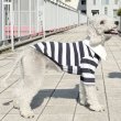 画像8: イタグレ服 S M L XL 2XL 3XL ラガー 半袖 Tシャツ  小型犬 中型犬 大型犬 春 秋 冬 犬服 doggystar ドッギースター 即日出荷出来ます (8)