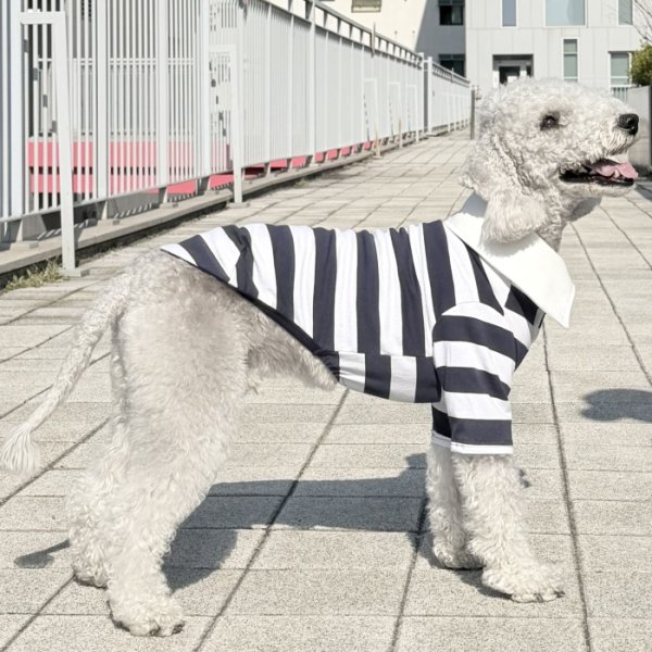 画像8: イタグレ服 S M L XL 2XL 3XL ラガー 半袖 Tシャツ  小型犬 中型犬 大型犬 春 秋 冬 犬服 doggystar ドッギースター 即日出荷出来ます (8)