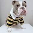 画像4: フレブル 服 フレンチブルドッグ ラガー半袖Tシャツ 春夏秋冬 L XL 2XL 3XL 4XL 5XL イングリッシュブルドッグ  パグ ペット服 犬服 フレブル  即日発送致します (4)