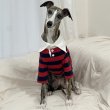 画像34: イタグレ服 S M L XL 2XL 3XL ラガー 半袖 Tシャツ  小型犬 中型犬 大型犬 春 秋 冬 犬服 doggystar ドッギースター 即日出荷出来ます (34)