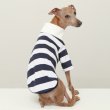 画像6: イタグレ服 S M L XL 2XL 3XL ラガー 半袖 Tシャツ  小型犬 中型犬 大型犬 春 秋 冬 犬服 doggystar ドッギースター 即日出荷出来ます (6)