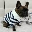 画像10: フレブル 服 フレンチブルドッグ ラガー半袖Tシャツ 春夏秋冬 L XL 2XL 3XL 4XL 5XL イングリッシュブルドッグ  パグ ペット服 犬服 フレブル  即日発送致します (10)