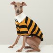 画像26: イタグレ服 S M L XL 2XL 3XL ラガー 半袖 Tシャツ  小型犬 中型犬 大型犬 春 秋 冬 犬服 doggystar ドッギースター 即日出荷出来ます (26)