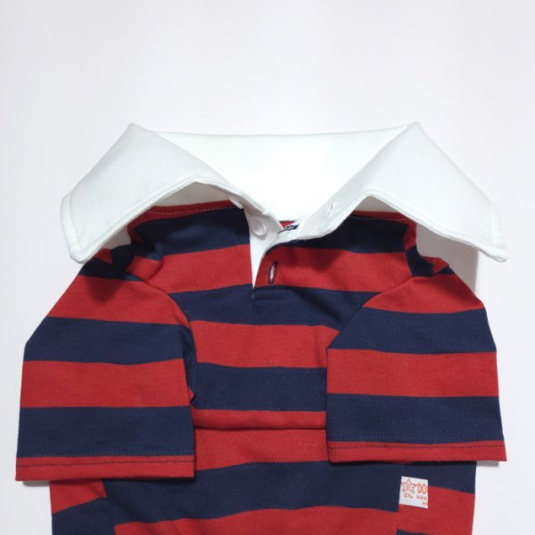 画像21: ウェルシュ コーギー 服 ラガー半袖 Tシャツ 2XL 3XL 4XL 5XL中型犬 大型犬 春夏秋冬 コーギー おしゃれ 犬服 doggystar ドッギースター 即日発送致します (21)