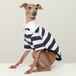 画像5: イタグレ服 S M L XL 2XL 3XL ラガー 半袖 Tシャツ  小型犬 中型犬 大型犬 春 秋 冬 犬服 doggystar ドッギースター 即日出荷出来ます (5)