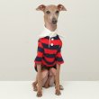 画像32: イタグレ服 S M L XL 2XL 3XL ラガー 半袖 Tシャツ  小型犬 中型犬 大型犬 春 秋 冬 犬服 doggystar ドッギースター 即日出荷出来ます (32)