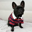 画像21: フレブル 服 フレンチブルドッグ ラガー半袖Tシャツ 春夏秋冬 L XL 2XL 3XL 4XL 5XL イングリッシュブルドッグ  パグ ペット服 犬服 フレブル  即日発送致します (21)