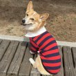 画像18: ウェルシュ コーギー 服 ラガー半袖 Tシャツ 2XL 3XL 4XL 5XL中型犬 大型犬 春夏秋冬 コーギー おしゃれ 犬服 doggystar ドッギースター 即日発送致します (18)