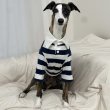 画像14: イタグレ服 S M L XL 2XL 3XL ラガー 半袖 Tシャツ  小型犬 中型犬 大型犬 春 秋 冬 犬服 doggystar ドッギースター 即日出荷出来ます (14)