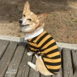 画像24: ウェルシュ コーギー 服 ラガー半袖 Tシャツ 2XL 3XL 4XL 5XL中型犬 大型犬 春夏秋冬 コーギー おしゃれ 犬服 doggystar ドッギースター 即日発送致します (24)