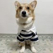 画像4: ウェルシュ コーギー 服 ラガー半袖 Tシャツ 2XL 3XL 4XL 5XL中型犬 大型犬 春夏秋冬 コーギー おしゃれ 犬服 doggystar ドッギースター 即日発送致します (4)