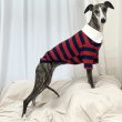 画像35: イタグレ服 S M L XL 2XL 3XL ラガー 半袖 Tシャツ  小型犬 中型犬 大型犬 春 秋 冬 犬服 doggystar ドッギースター 即日出荷出来ます (35)