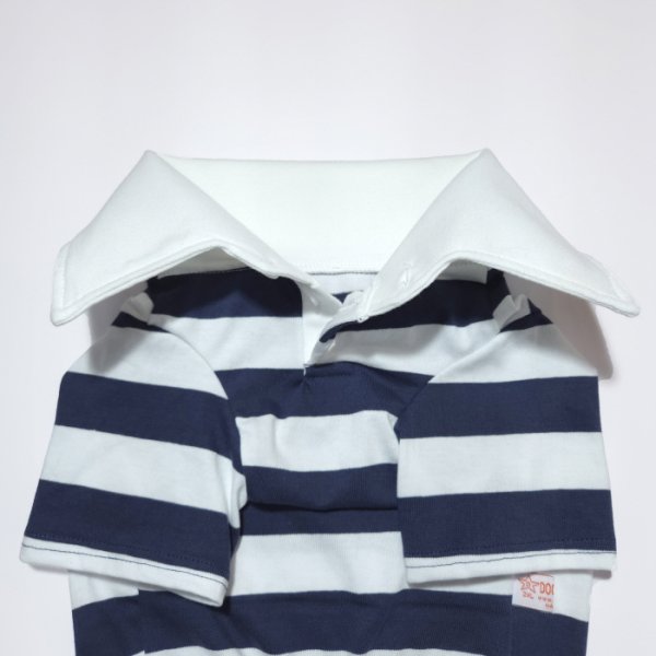 画像11: ウェルシュ コーギー 服 ラガー半袖 Tシャツ 2XL 3XL 4XL 5XL中型犬 大型犬 春夏秋冬 コーギー おしゃれ 犬服 doggystar ドッギースター 即日発送致します (11)