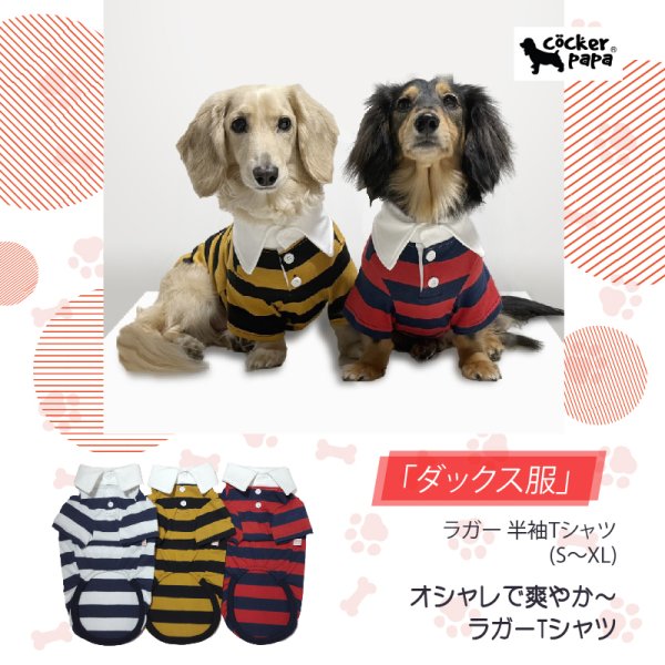 画像1: ダックスフンド 服 ラガー半袖Ｔシャツ 小型犬 中型犬 S M L XL 春夏秋冬 ダックス おしゃれ 犬 洋服 doggystar ドッギースター 即日発送致します (1)