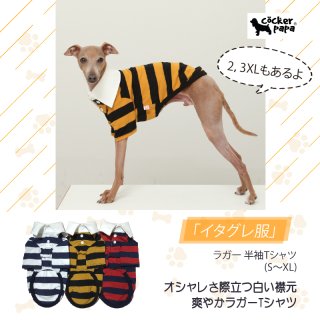 ぺんた 　イタグレ服　長袖シャツ　2点 イタグレ服 ハイストレッチ 細ボーダーTシャツ カットソー 長袖Tシャツ