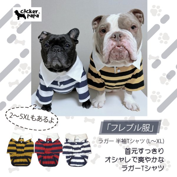 画像1: フレブル 服 フレンチブルドッグ ラガー半袖Tシャツ 春夏秋冬 L XL 2XL 3XL 4XL 5XL イングリッシュブルドッグ  パグ ペット服 犬服 フレブル  即日発送致します (1)