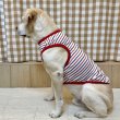 画像24: 犬服 ボーダー スマイル シンプル タンクトップ S M L XL 2XL 3XL 4XL 5XL 6XL 小型犬 中型犬 大型犬 春 夏 袖なし おしゃれ ペット服 doggystar ドッギースター  (24)