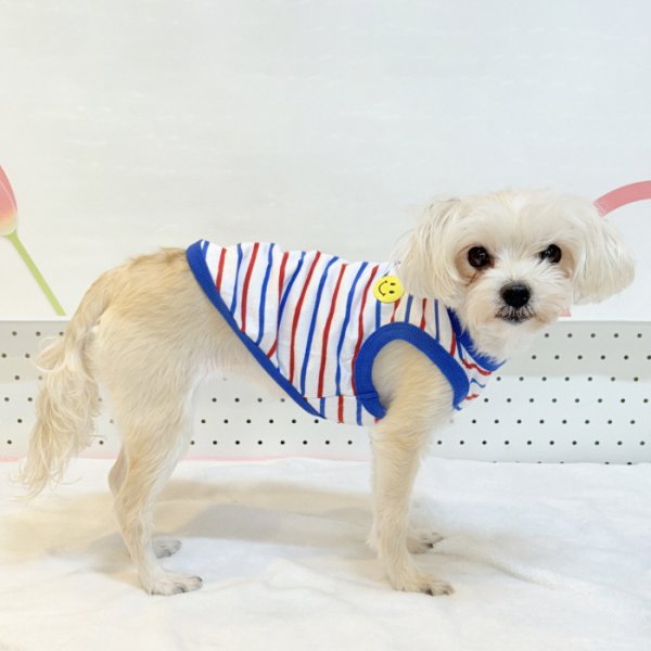画像15: 犬服 ボーダー スマイル シンプル タンクトップ S M L XL 2XL 3XL 4XL 5XL 6XL 小型犬 中型犬 大型犬 春 夏 袖なし おしゃれ ペット服 doggystar ドッギースター  (15)