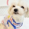 画像16: 犬服 ボーダー スマイル シンプル タンクトップ S M L XL 2XL 3XL 4XL 5XL 6XL 小型犬 中型犬 大型犬 春 夏 袖なし おしゃれ ペット服 doggystar ドッギースター  (16)